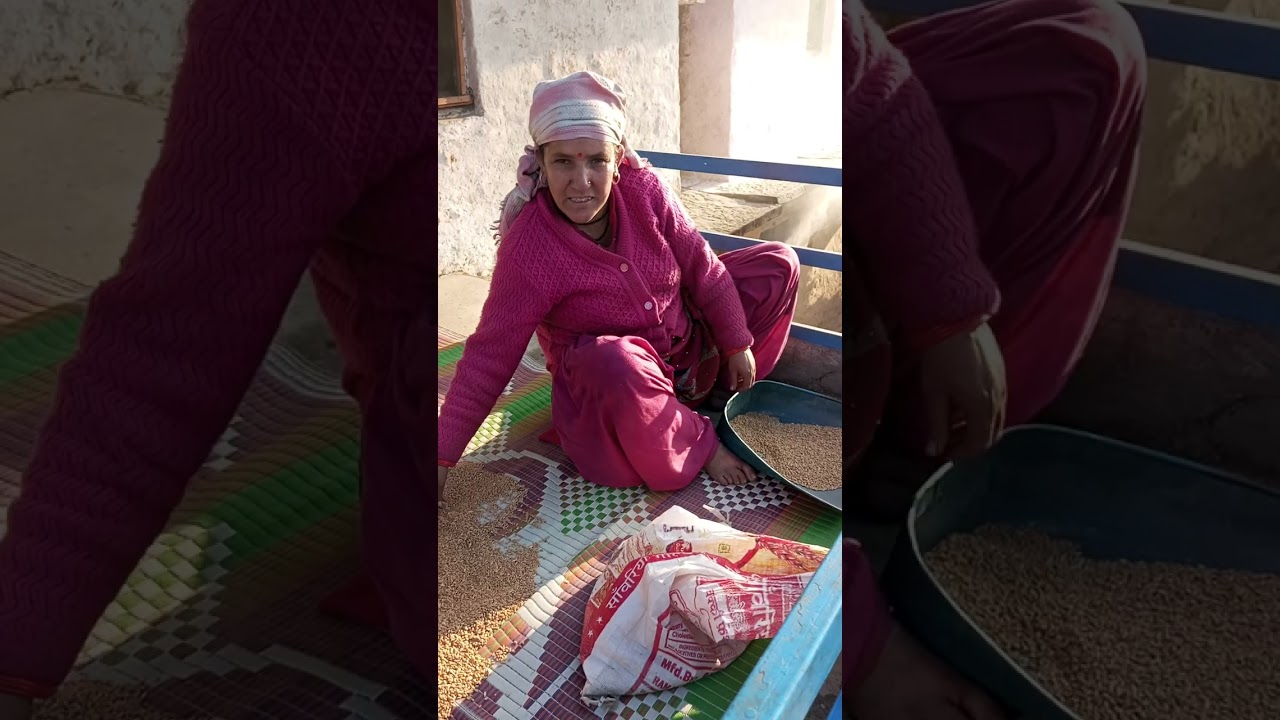 11 जनवरी 2026