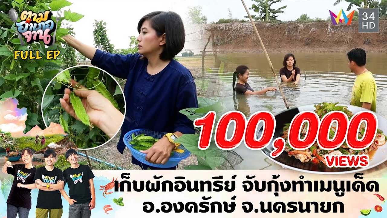 เก็บผักอินทรีย์ จับกุ้งทำเมนูเด็ด อ.องครักษ์ จ.นครนายก  | ตามอำเภอจาน | 3 มี.ค.61 Full EP