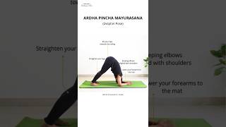 3 Yoga Poses for Strong Shoulders | Beginners Shoulder Mobility &amp; Strength | Yoga With Archana Alur