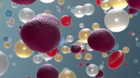 10x Genomics Immunology Video(繁中)