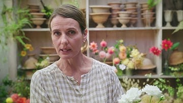 Fundamentals of Floral Design— Appendix Choosing and Preparing Flowers