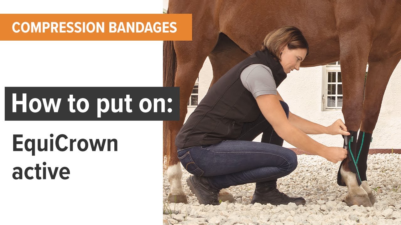 Putting on EquiCrown active // Compression bandage for horses YouTube