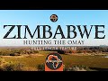 'Hunting Buffalo in the Omay' with Chad Allen and Buchanan Hunts (4K)