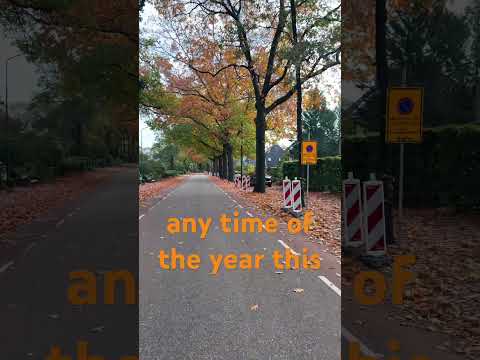 Podziel Się Czymś Wyjątkowym Na Temat Miejsca W Którym Mieszkasz