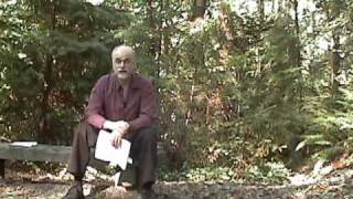 Schemas vs. Instances