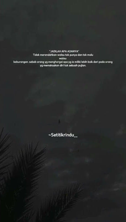 Hayyul Hadi - Story Wa (30 detik)