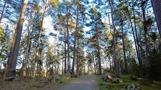 Relaxing Bike Ride with nature sounds 4k- Spring vibes in Stockholm ##bike #bikeride