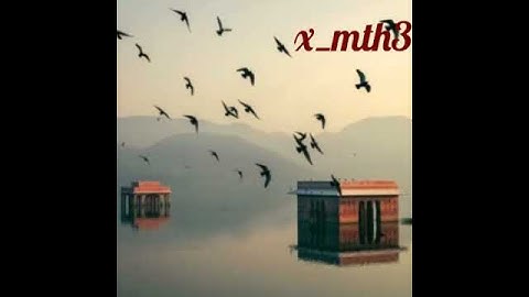 Thumbnail of اشوفك وين يامهاجر - بصوتي