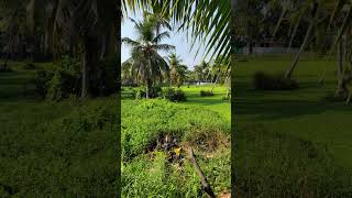 my village #travel #villageliving