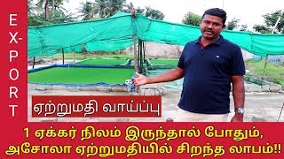 1 ஏக்கர் நிலம் போதும்! அசோலா மட்டும் உற்பத்தி செய்து ஏற்றுமதி செய்யலாம்!!  சிறந்த லாபம்