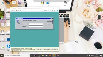 WINDOWS 95 + PLUS VMWARE PLAYER
