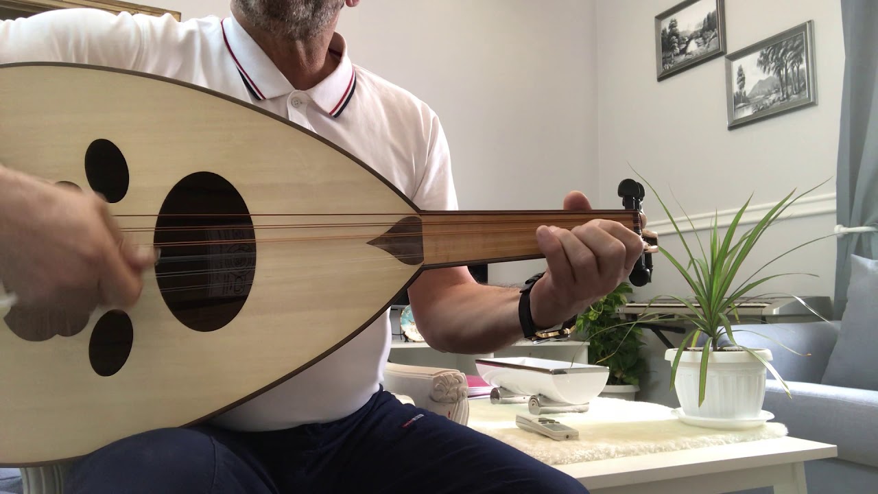 استهلال تقسيمة الهزام - فيديو ( 46) جوال 0540700462