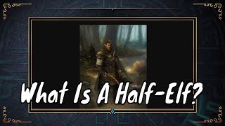 The Half-Elf -- What Game Lore Won't Tell You