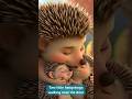 The Last Hedgehog Comes Home! So Sweet!