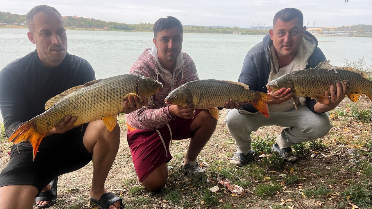 Pescuit la CRAP și MREANĂ cu gașca “zurli”…. 4 zile frumoase pe Dunăre la sfârșit de SEPTEMBRIE