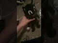 me being funny with my cartoon cat plush
