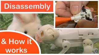 Animagic Guinea Pig & Rabbit without fur, disassembly, how it works & Electronics Projects by Thanks to Caleb Chung 245 views 1 month ago 21 minutes