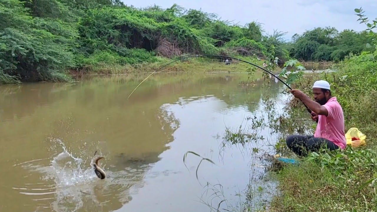 "PEACEFUL VILLAGE FISHING WITH BAAMFISHES "SIMPLE BITE INTO A MIGHTY FIGHT FOR EEL FISH IN VILLAGE 