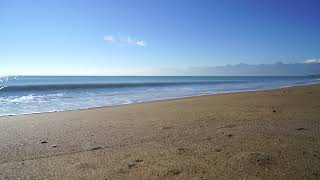 Petualangan di Dunia Ajaib #118