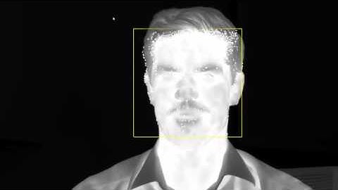 Opening FLIR Movies with Matlab Software