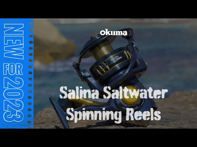 Top 5 Saltwater Spinning Reels for Inshore & Offshore Fishing (2023)