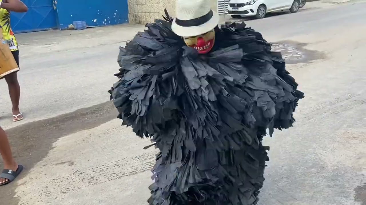 Lá ursa de Barreiros 2024