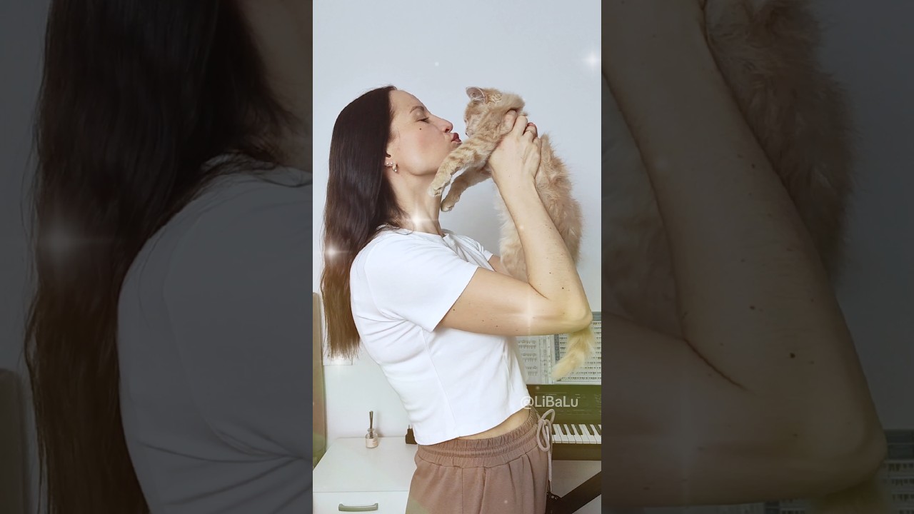 Lisa Dreamed This&hellip; or Not?!😱 #funnydog #pomeranian #libalu