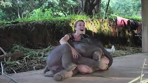 Baby Elephant Surprises Caretaker with a Hug
