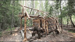 Bears Outside My Log Cabin for 48 Hours – How I Survived!