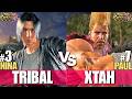 T8 - TRIBAL (#3 Ranked Nina) vs XTAH (#7 Ranked Paul) | Tekken 8 High Level Gameplay