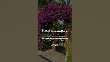 اكتشف نعمة السكينة والهدوء من خلال تلاوة القرآن الكريم #سورة_الأعراف  القارئ #فارس_عباد