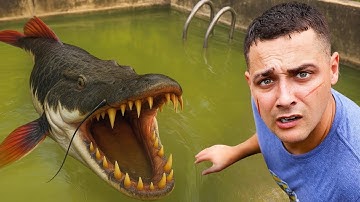 I Found An Abandoned Monster Pond...