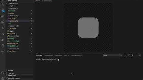 8. React Native - Expo Eject - Updating splash screen