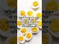 Do you know all about eggsfood chemistry science foodprocessing