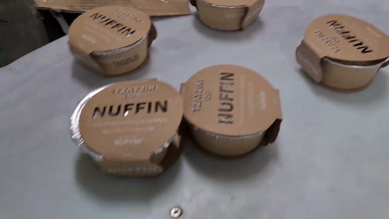 SNEED-JET® Titan Printer Installed On Conveyor Coding Dip Containers