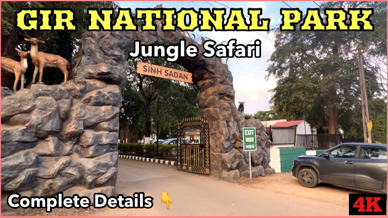 Национальный парк Гир Гуджарат | Сафари в джунглях | Сасан Гир | 4К Эпизод - 1