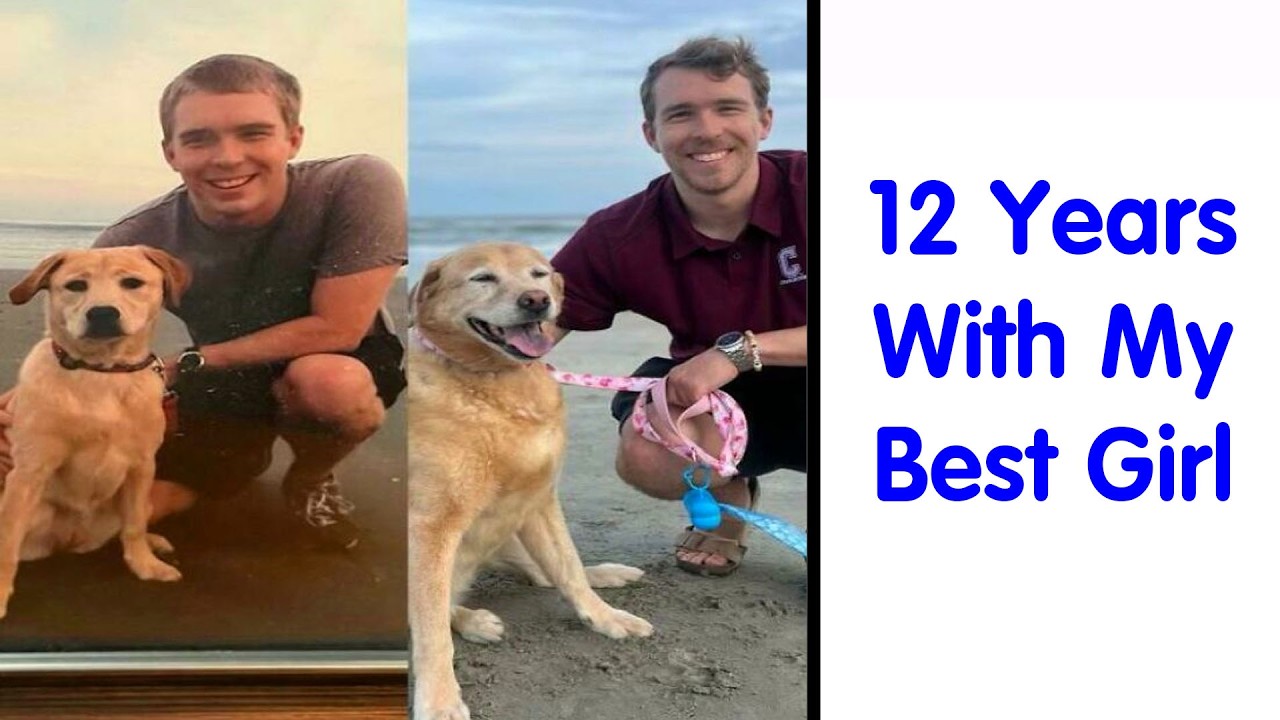 Adorable Pictures Of Animals That Are Bound To Lift Your Spirits And Make You Say “Aww”