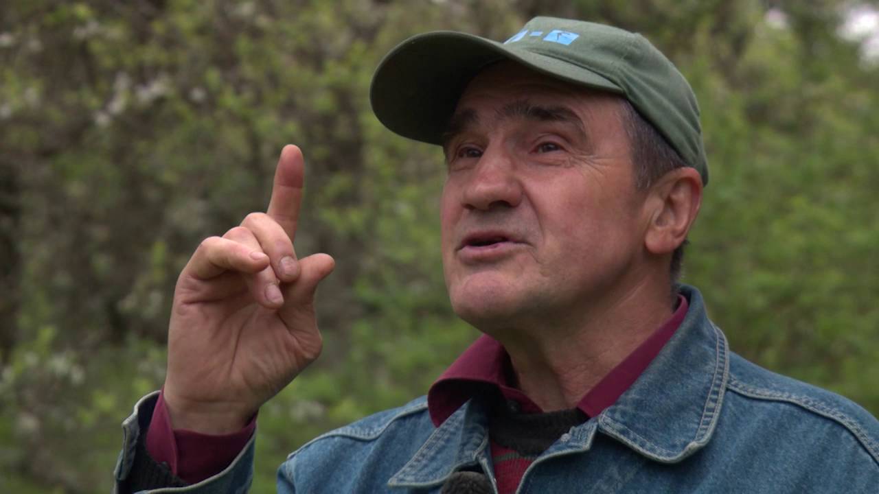 PROVINCE. Vīdales Jura republika