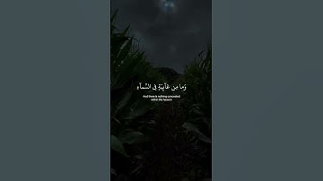 سورة النمل : وَإِنَّ رَبَّكَ لَيَعْلَمُ مَا تُكِنُّ صُدُورُهُمْ