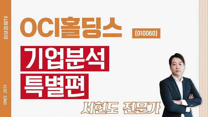 OCI홀딩스 (010060) - 기업분석 특별편
