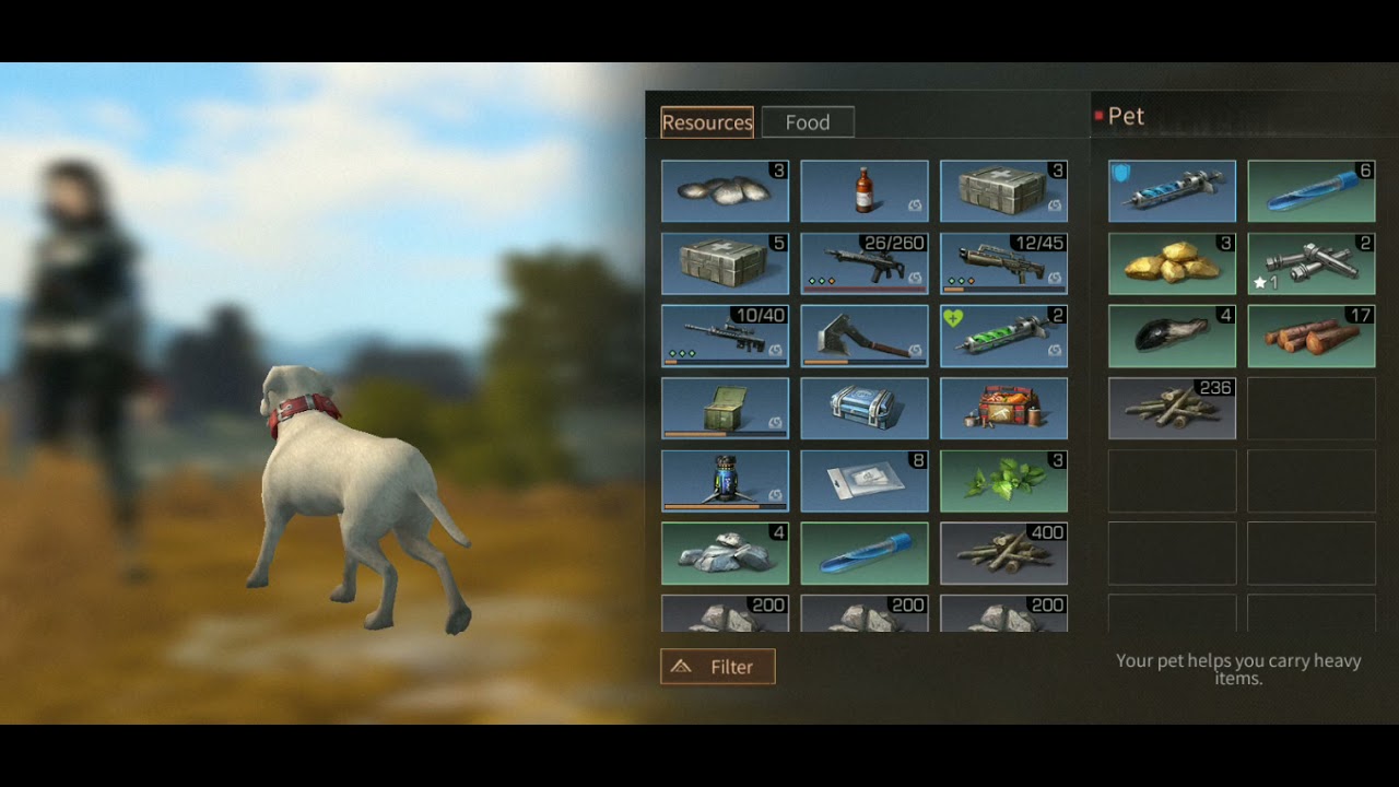 LIFEAFTER, LEVIN CITY SERVER,Redwood Town quest