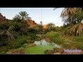 أهداء لـ اهل حائل من هدهد نجران 