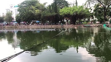 Công viên Lê Thị Riêng khai trương hồ câu cá mè 07/11/2020