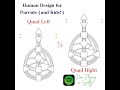 Quad Left vs Quad Right (Human Design Variables) Part 1