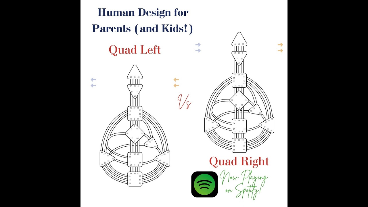 Quad Left vs Quad Right (Human Design Variables) Part 1