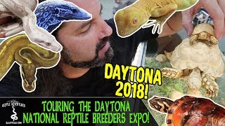 TOURING THE DAYTONA NATIONAL REPTILE BREEDERS EXPO! (August 2018)