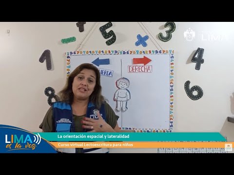 Curso en línea:
