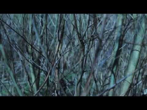 Glitterbug — Glitterbug - Calcutta