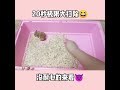 Hamster Obstacle Course Maze Course, Adorable Hamster Look So Funny, Hamster Funny Compilation 624