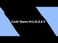 Hugsky  code name hugsky 1er titre de mon album blue